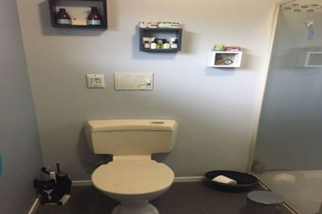 Photo of property in 32 Hillcrest Road, Ashhurst, Palmerston North, 4470