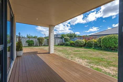 Photo of property in 19 Accolade Street, Feilding, 4702