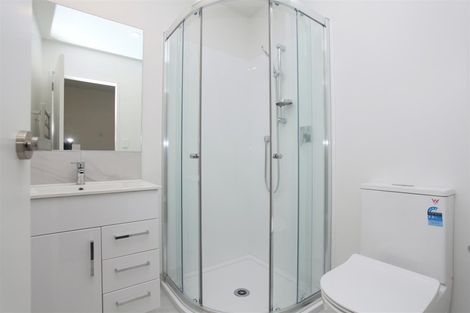 Photo of property in 23 Hearth Street, Flat Bush, Auckland, 2019