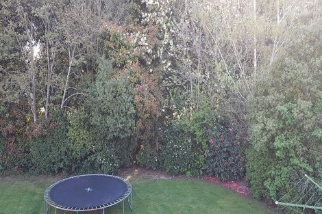 Photo of property in 20 Glenbrook Drive, Mosgiel, 9024