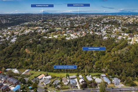 Photo of property in 64 Eskdale Road, Birkdale, Auckland, 0626