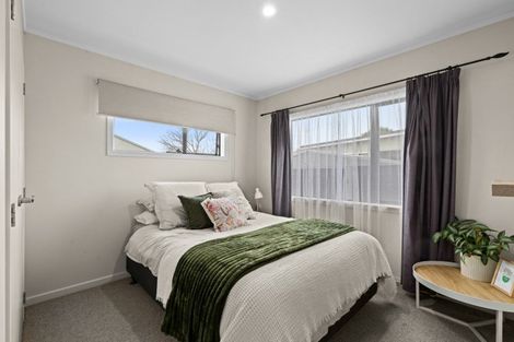Photo of property in 710 Ngaio Street, Mahora, Hastings, 4120