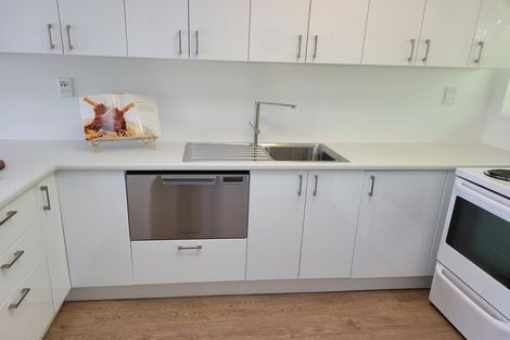 Photo of property in 22f2 Mccoll Street, Vogeltown, Wellington, 6021