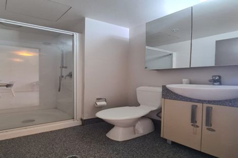 Photo of property in Dual Apartments, 308/142u Vivian Street, Te Aro, Wellington, 6011
