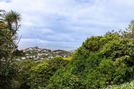 Photo of property in 135 Mitchell Street, Brooklyn, Wellington, 6021