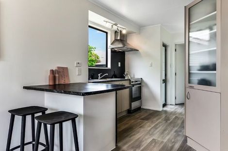 Photo of property in 11b Primrose Street, Frankton, Hamilton, 3204