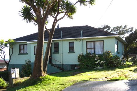 Photo of property in 11 Budd Street, Bluff, 9814