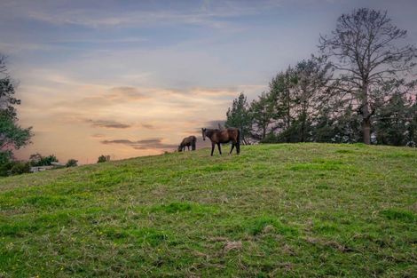 Photo of property in 321 Hepburn Creek Road, Warkworth, 0981