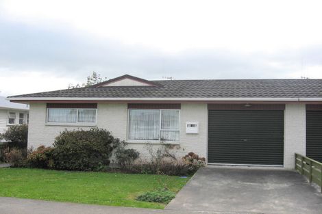 Photo of property in 1/33 Liverpool Street, Levin, 5510