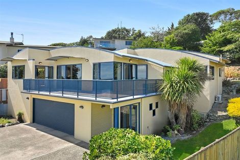 Photo of property in 313 Hill Street, Richmond, 7020