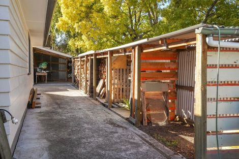 Photo of property in 7 Robinson Street, Cheviot, 7310