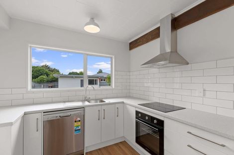 Photo of property in 139 Maxwells Line, Awapuni, Palmerston North, 4412
