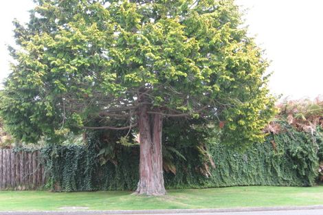 Photo of property in 23d Sumner Street, Glenholme, Rotorua, 3010