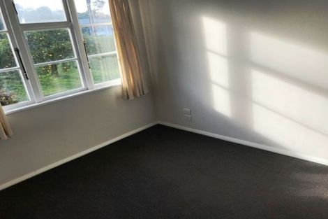 Photo of property in 51 Graham Street, Hamilton East, Hamilton, 3216