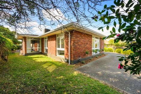 Photo of property in 237 Victoria Avenue, Hokowhitu, Palmerston North, 4410
