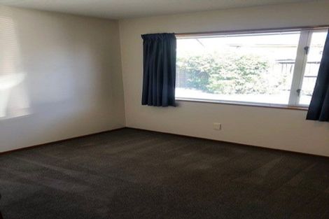 Photo of property in 9 Isabella Place, Waltham, Christchurch, 8011