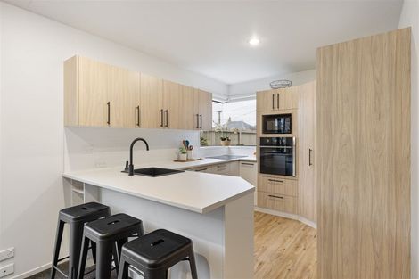 Photo of property in 53 Hawkesbury Avenue, St Albans, Christchurch, 8014