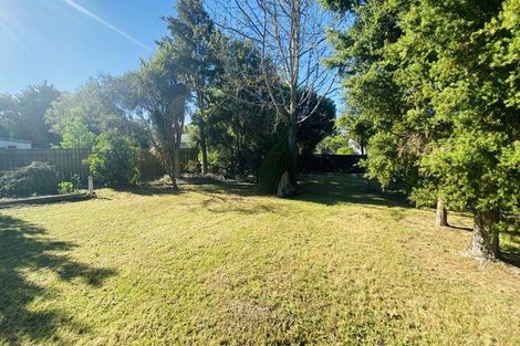 Photo of property in 41 Hillcrest Street, Solway, Masterton, 5810