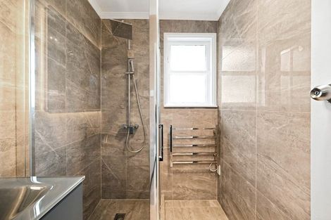 Photo of property in 60 Alfred Street, Fairfield, Hamilton, 3214