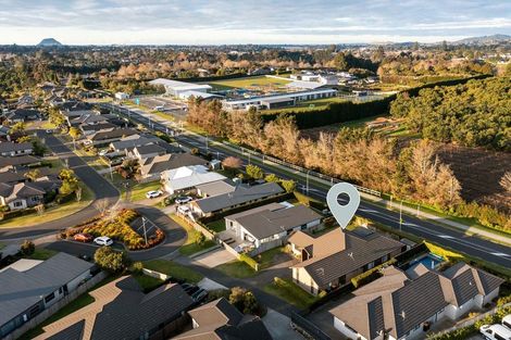 Photo of property in 55 Benmore Crescent, Pyes Pa, Tauranga, 3112