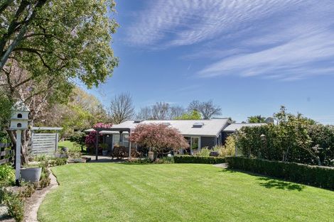 Photo of property in 114 Norton Road, Akina, Hastings, 4122