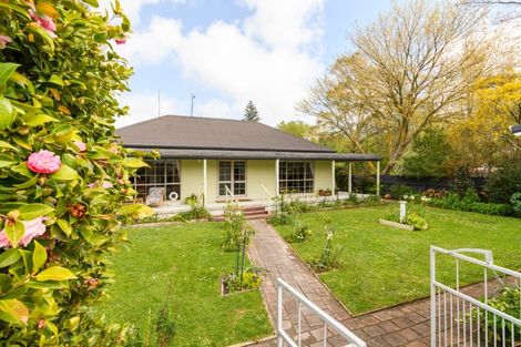 Photo of property in 185 Oxford Street, Ashhurst, 4810