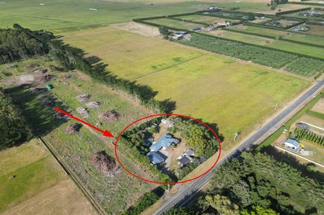 Photo of property in 264 Motuiti Road, Foxton, 4891