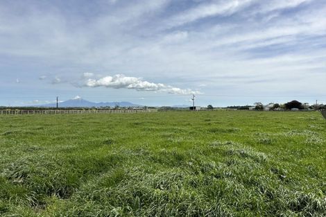 Photo of property in 199 Otaraoa Road, Motunui, Waitara, 4383