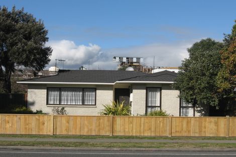 Photo of property in 623 Nelson Street North, Hastings, 4122