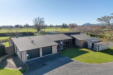 Photo of property in 161 Hautapu Road, Pukemoremore, Cambridge, 3493