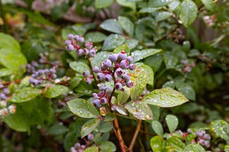 Photo of property in 6 Estuary Close, Warkworth, 0910