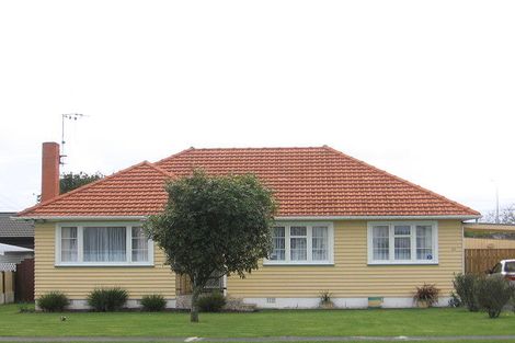 Photo of property in 48 Trafalgar Street, Levin, 5510