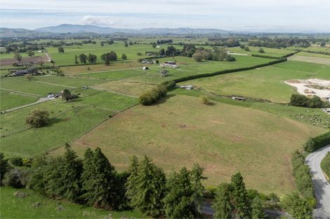 Photo of property in 59 Parallel Road, Cambridge, 3495