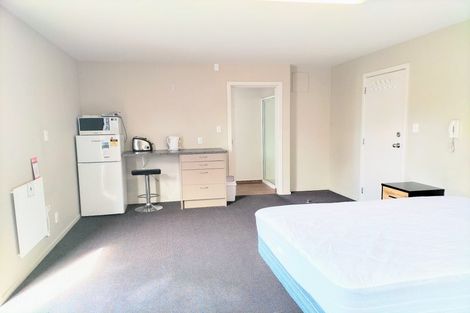 Photo of property in 45a Lees Street, Dunedin Central, Dunedin, 9016