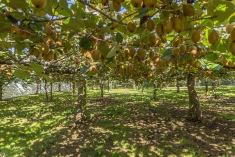 Photo of property in 1162a No 3 Road, Te Puke, 3183