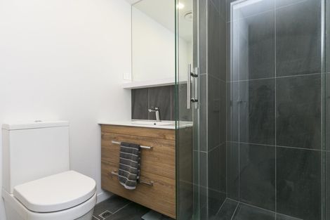 Photo of property in Vsp South, 303/168u Victoria Street, Te Aro, Wellington, 6011