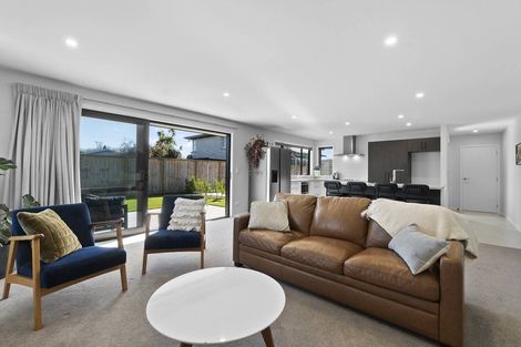 Photo of property in 24a Patrick Place, Fitzroy, Hamilton, 3206