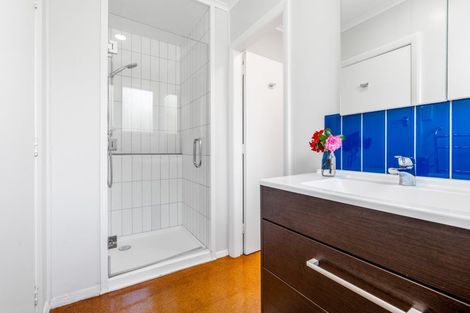 Photo of property in 2 Motu Street, Saint Clair, Dunedin, 9012