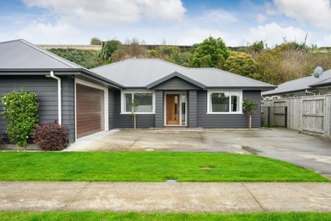 Photo of property in 29 Freedom Drive, Kelvin Grove, Palmerston North, 4414