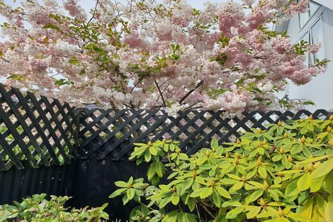 Photo of property in 112 Elizabeth Street, Riccarton, Christchurch, 8041