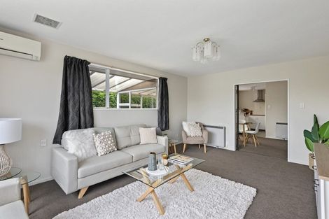 Photo of property in 1/57 Trevor Street, Hornby, Christchurch, 8042