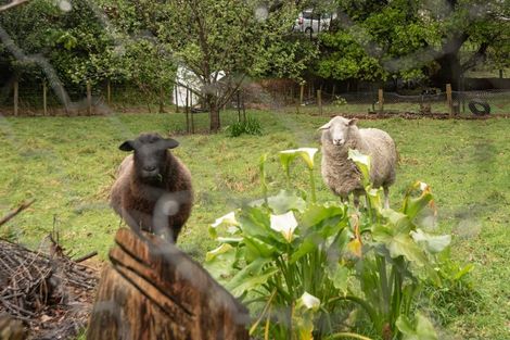 Photo of property in 14 Tui Street, Te Puke, 3119