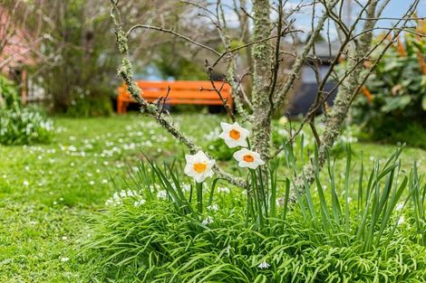 Photo of property in 25 Palm Grove, Belmont, Lower Hutt, 5010