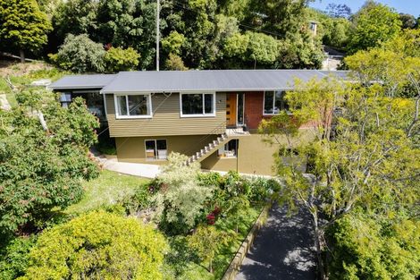 Photo of property in 8 Every Street, Andersons Bay, Dunedin, 9013