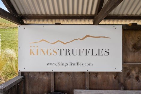 Photo of property in 101 Laidmore Road, Broomfield, 7482