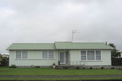 Photo of property in 39 Featherston Street, Levin, 5510