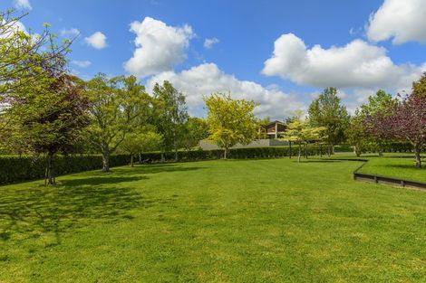 Photo of property in 84r Freeburn Road, Pyes Pa, Tauranga, 3112