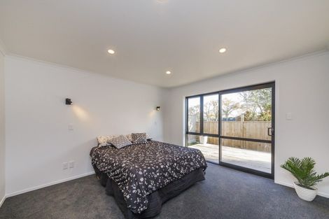 Photo of property in 29a Chelwood Street, Takaro, Palmerston North, 4412