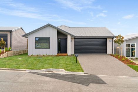 Photo of property in 21 Cowell Crescent, Pyes Pa, Tauranga, 3112