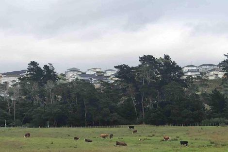 Photo of property in 87 Totara Views Drive, Silverdale, 0932